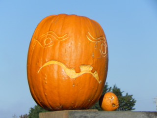 Wavie, Nipomo Pumpkin Patch best carving idea